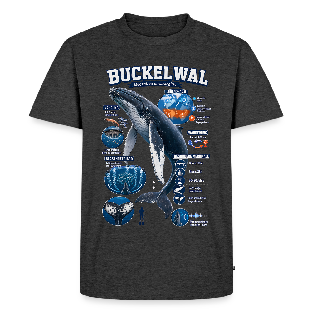 Buckelwal Infografik – Faszinierende Fakten über den Ozeanriesen | Männer Premium T-Shirt - Anthrazit meliert