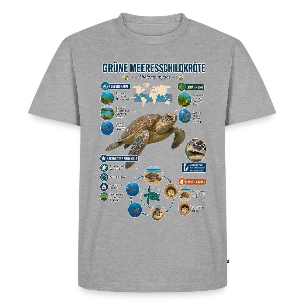 Grüne Meeresschildkröte Infografik – Faszinierende Fakten über den sanften Ozeanbewohner | Männer Premium T-Shirt - Grau meliert