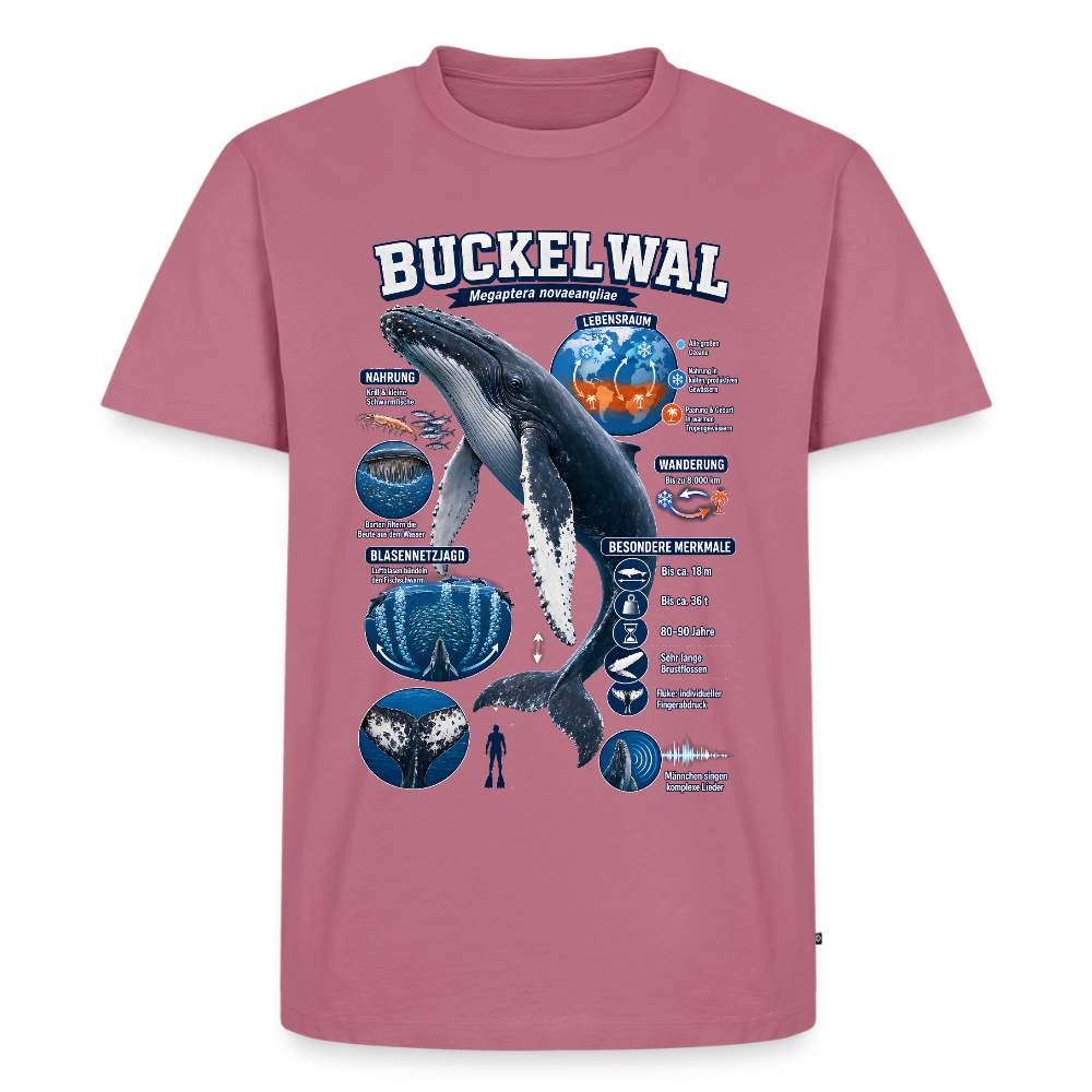 Buckelwal Infografik – Faszinierende Fakten über den Ozeanriesen | Männer Premium T-Shirt - Mauve