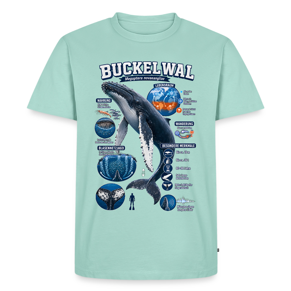 Buckelwal Infografik – Faszinierende Fakten über den Ozeanriesen | Männer Premium T-Shirt - Mint 