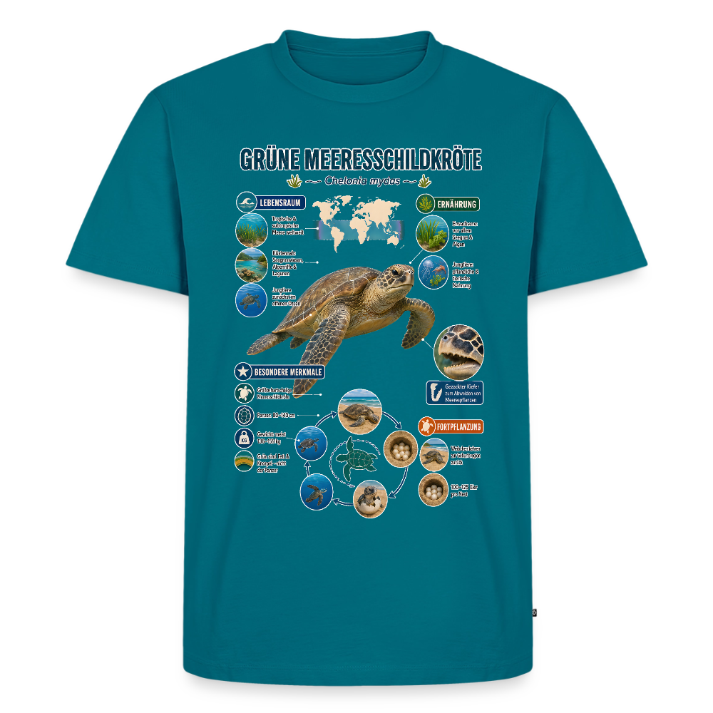 Grüne Meeresschildkröte Infografik – Faszinierende Fakten über den sanften Ozeanbewohner | Männer Premium T-Shirt - Petrol