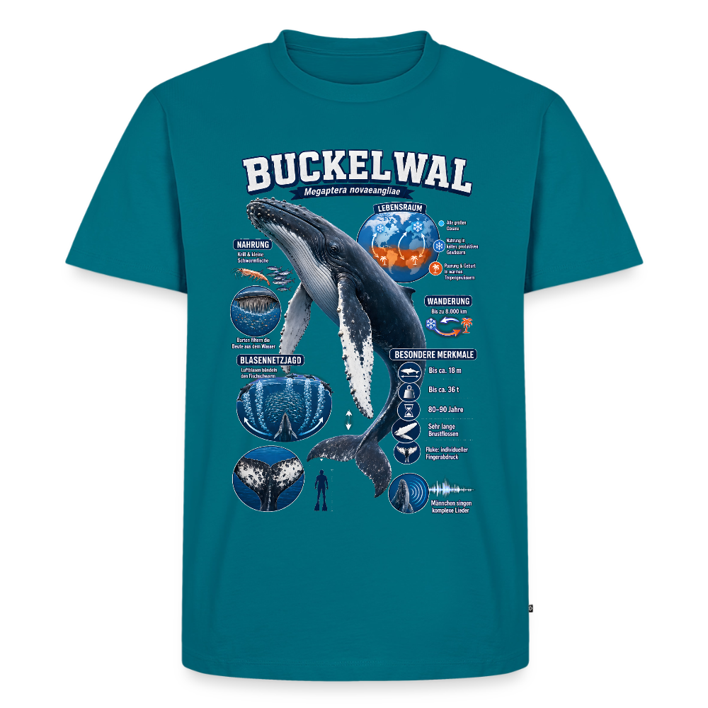Buckelwal Infografik – Faszinierende Fakten über den Ozeanriesen | Männer Premium T-Shirt - Petrol