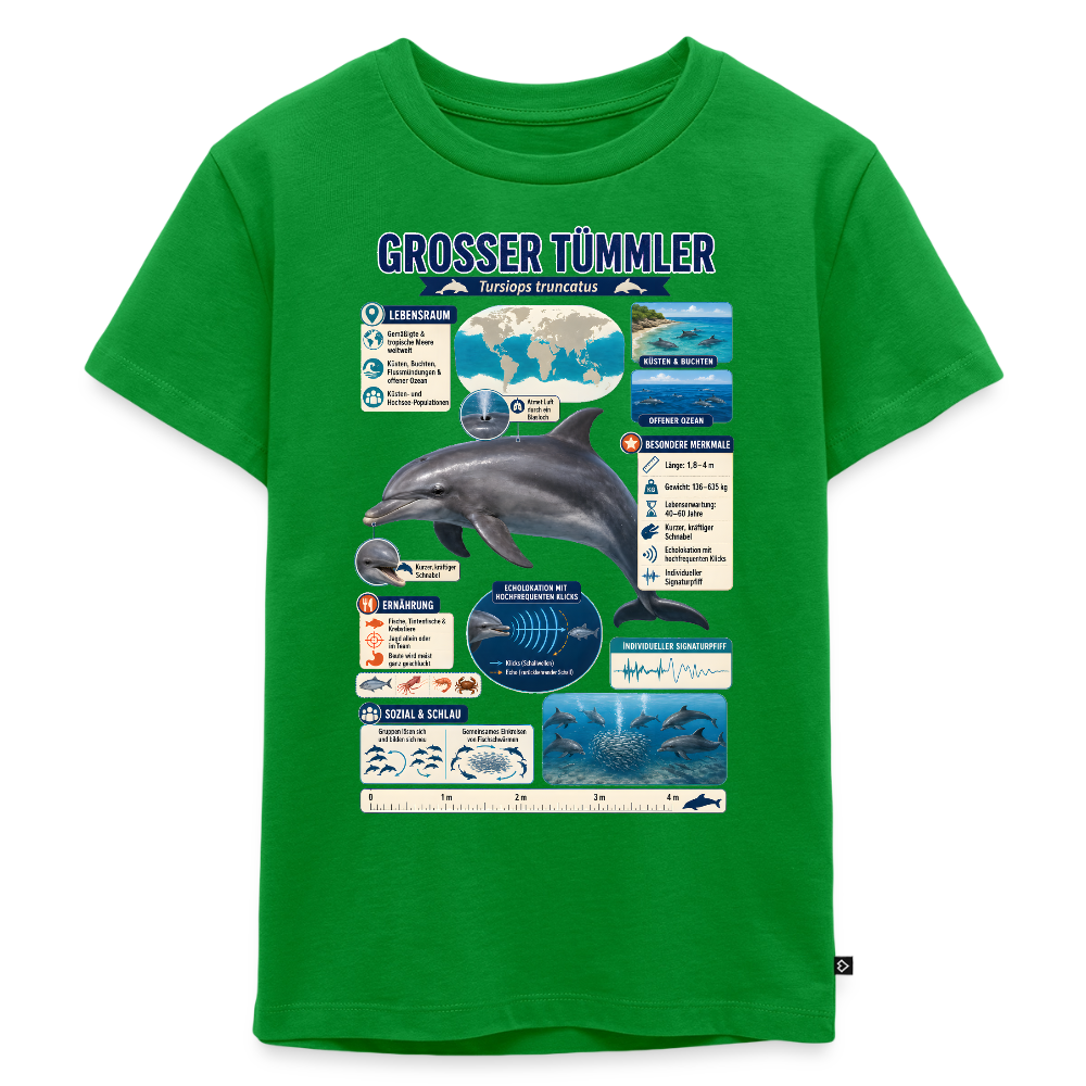 Großer Tümmler Infografik – Spannende Fakten über den intelligenten Delfin | Kinder Premium T-Shirt - Grün