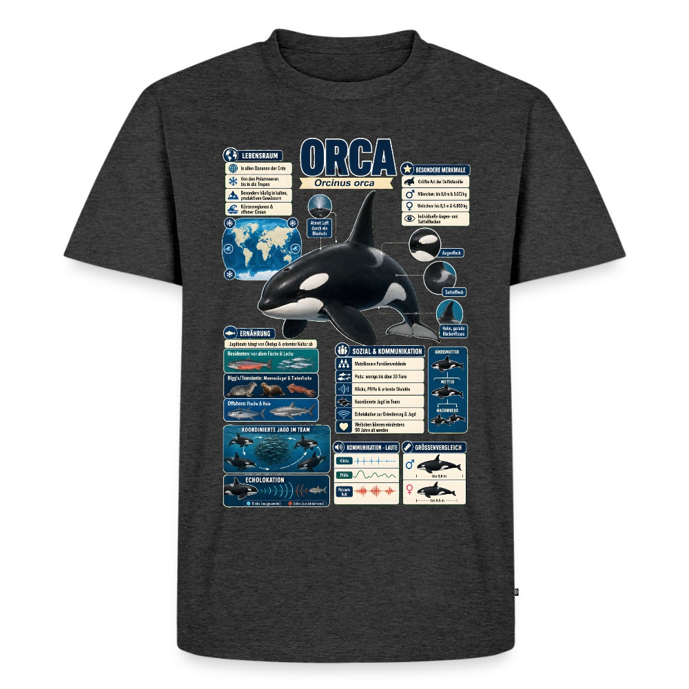 Orca Infografik – Faszinierende Fakten über den Schwertwal | Männer Premium T-Shirt - Anthrazit meliert