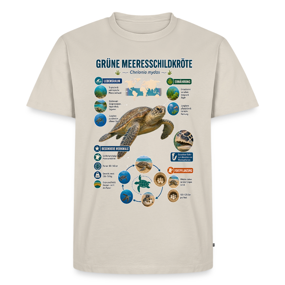 Grüne Meeresschildkröte Infografik – Faszinierende Fakten über den sanften Ozeanbewohner | Männer Premium T-Shirt - Beige