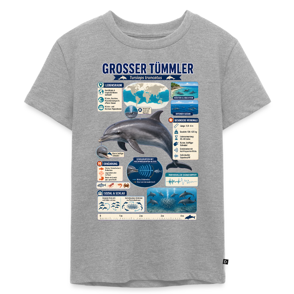 Großer Tümmler Infografik – Spannende Fakten über den intelligenten Delfin | Kinder Premium T-Shirt - Grau meliert