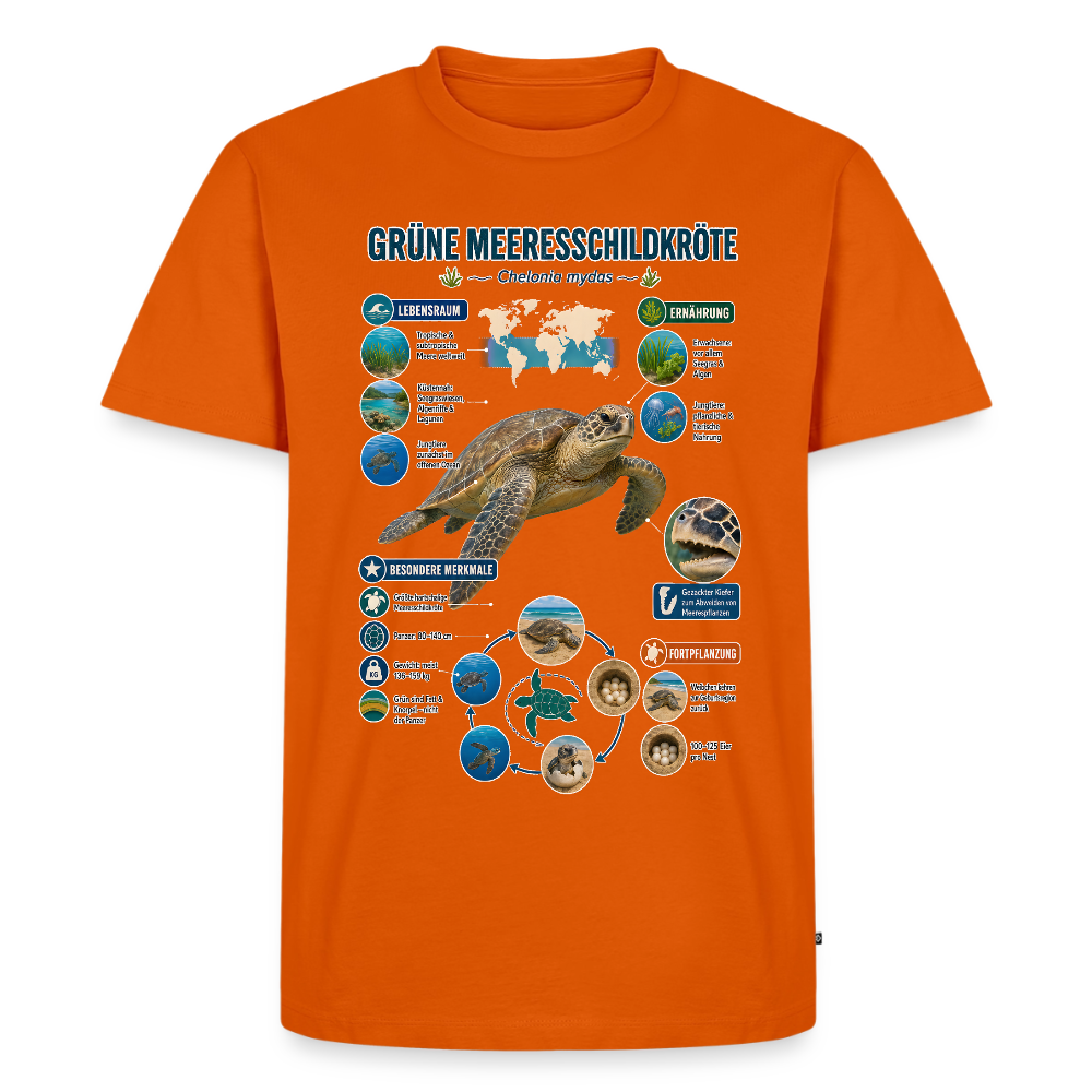 Grüne Meeresschildkröte Infografik – Faszinierende Fakten über den sanften Ozeanbewohner | Männer Premium T-Shirt - Orange 