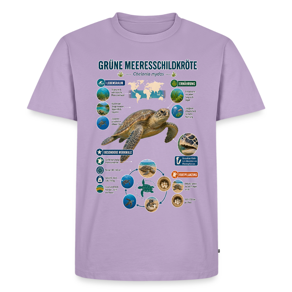 Grüne Meeresschildkröte Infografik – Faszinierende Fakten über den sanften Ozeanbewohner | Männer Premium T-Shirt - Lavendel