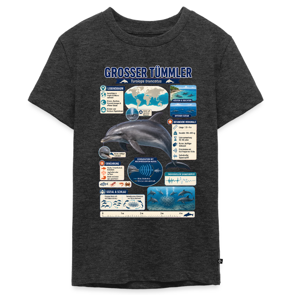 Großer Tümmler Infografik – Spannende Fakten über den intelligenten Delfin | Teenager Premium T-Shirt - Anthrazit meliert