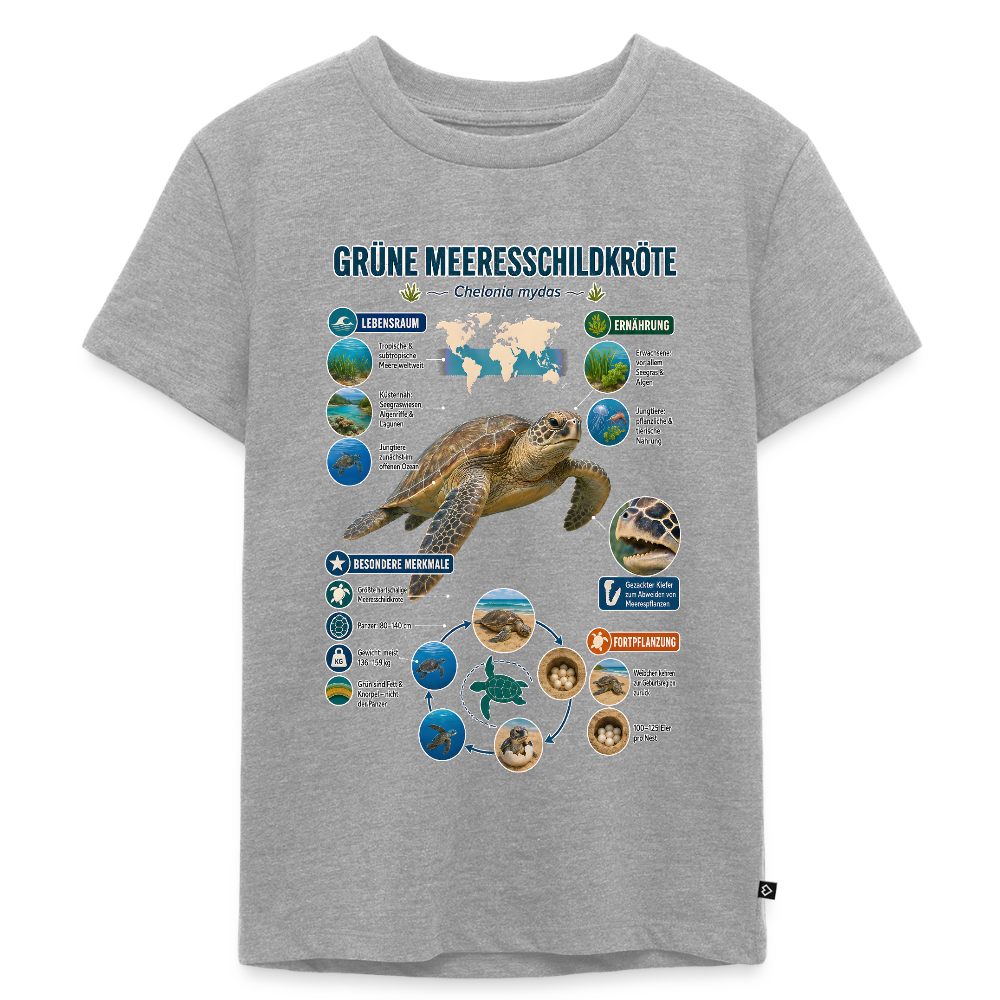 Grüne Meeresschildkröte Infografik – Faszinierende Fakten über den sanften Ozeanbewohner | Kinder Premium T-Shirt - Grau meliert