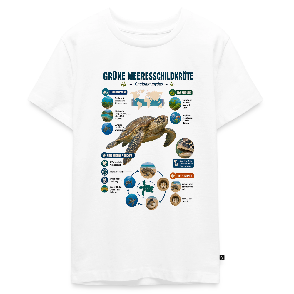 Grüne Meeresschildkröte Infografik – Faszinierende Fakten über den sanften Ozeanbewohner | Teenager Premium T-Shirt - Weiß