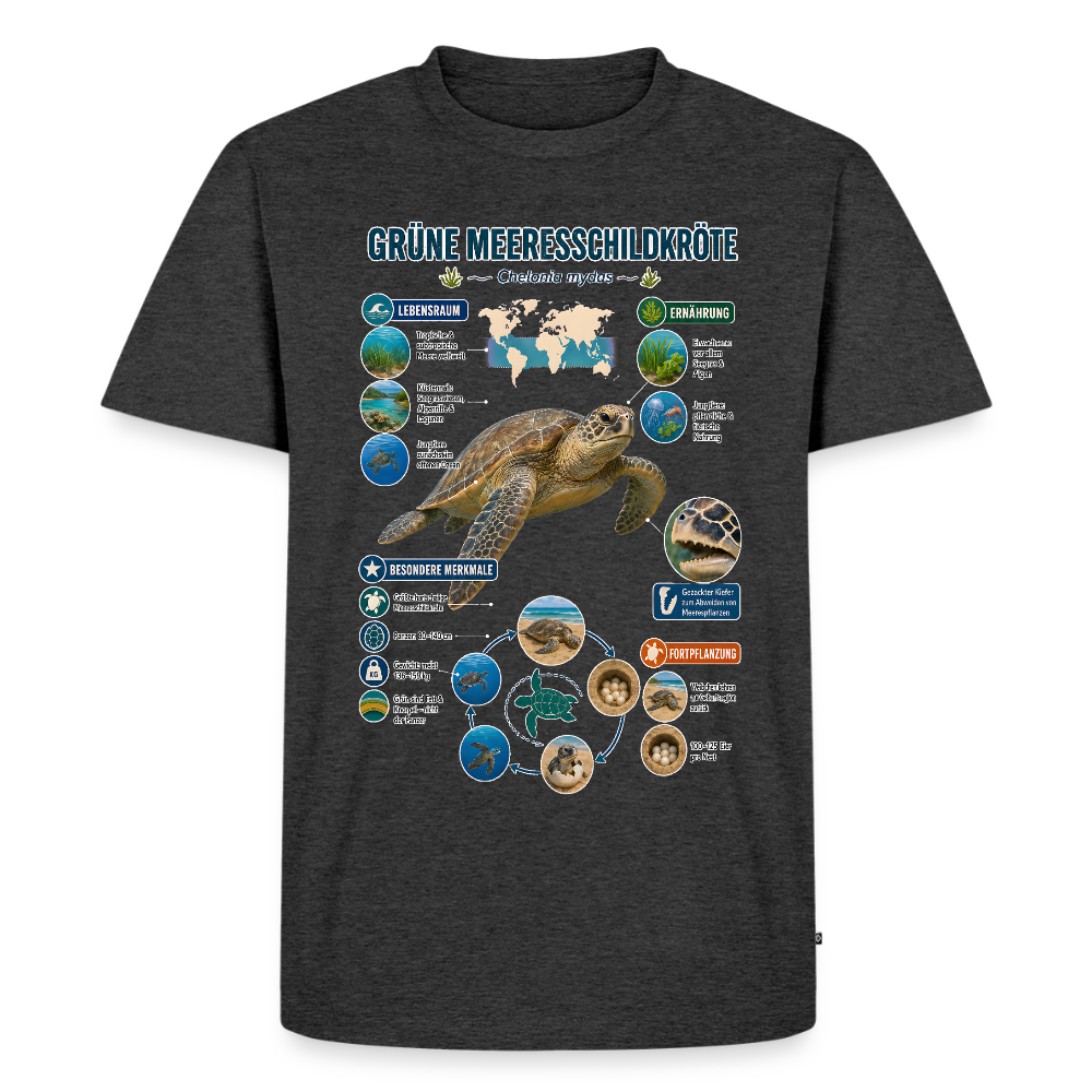 Grüne Meeresschildkröte Infografik – Faszinierende Fakten über den sanften Ozeanbewohner | Männer Premium T-Shirt - Anthrazit meliert