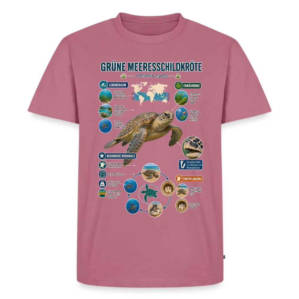 Grüne Meeresschildkröte Infografik – Faszinierende Fakten über den sanften Ozeanbewohner | Männer Premium T-Shirt - Mauve