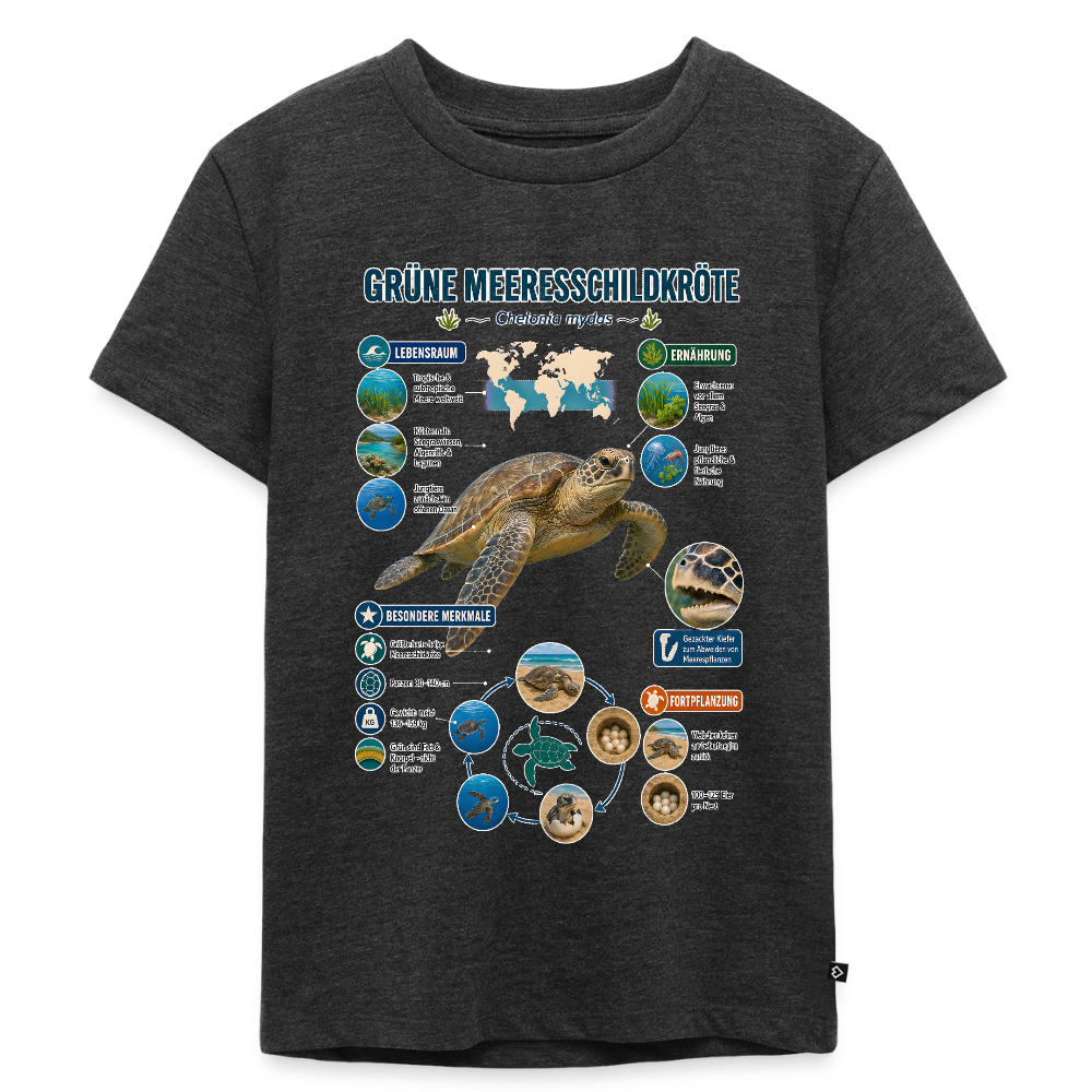 Grüne Meeresschildkröte Infografik – Faszinierende Fakten über den sanften Ozeanbewohner | Kinder Premium T-Shirt - Anthrazit meliert