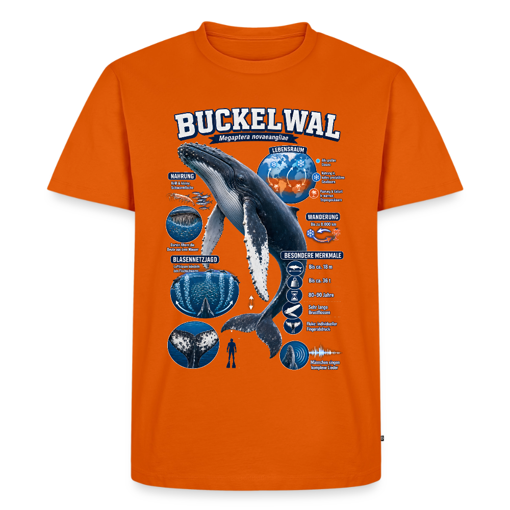 Buckelwal Infografik – Faszinierende Fakten über den Ozeanriesen | Männer Premium T-Shirt - Orange 