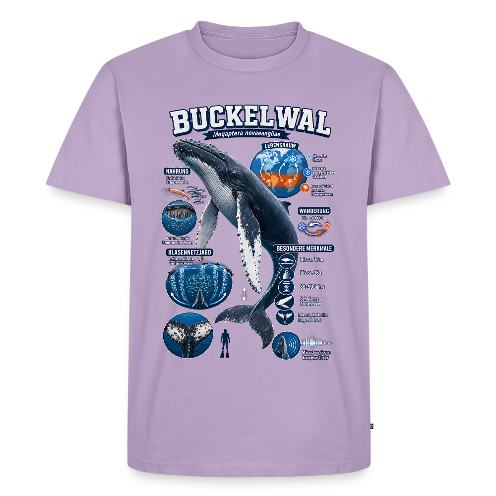 Buckelwal Infografik – Faszinierende Fakten über den Ozeanriesen | Männer Premium T-Shirt - Lavendel