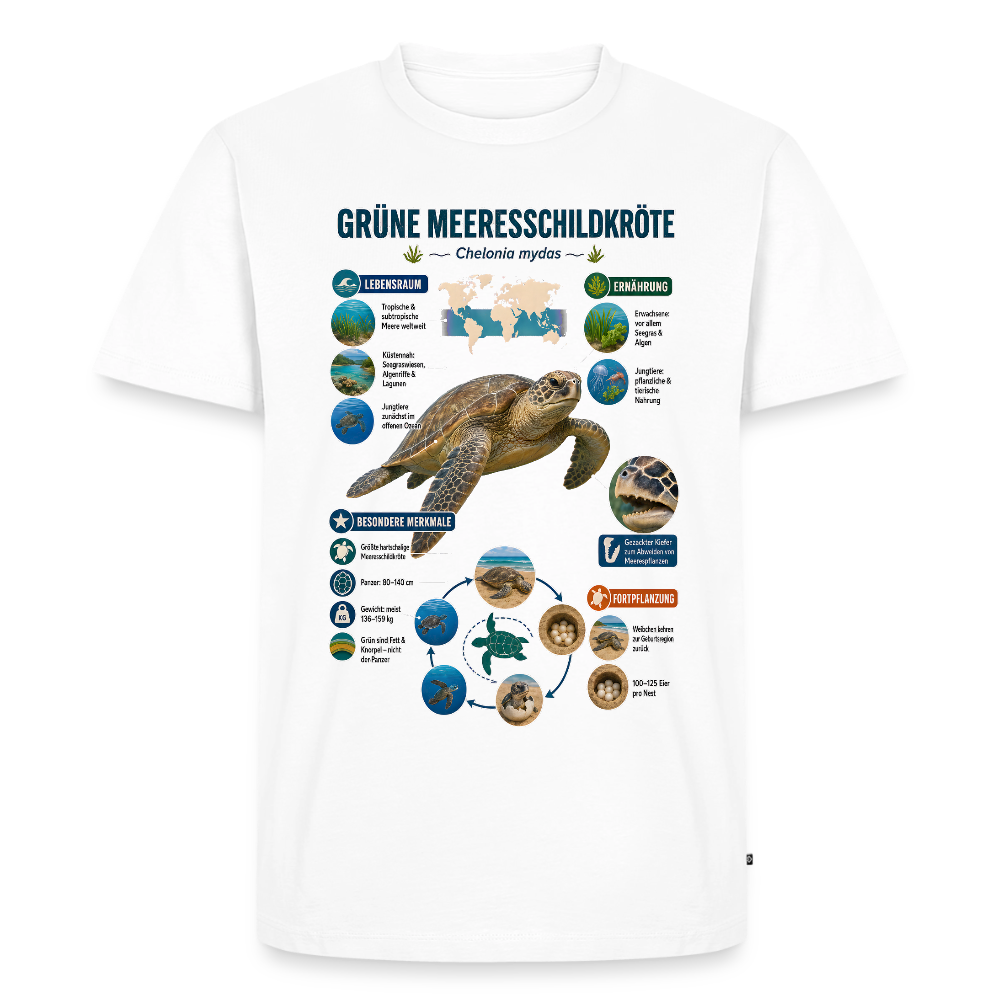Grüne Meeresschildkröte Infografik – Faszinierende Fakten über den sanften Ozeanbewohner | Männer Premium T-Shirt - Weiß