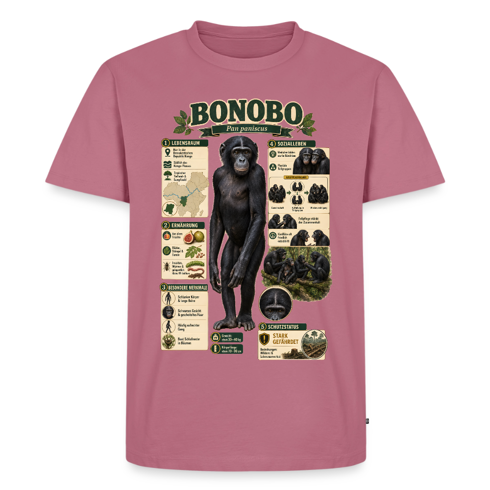 Bonobo Infografik – Faszinierende Fakten über unsere friedlichen Verwandten | Männer Premium T-Shirt - Mauve