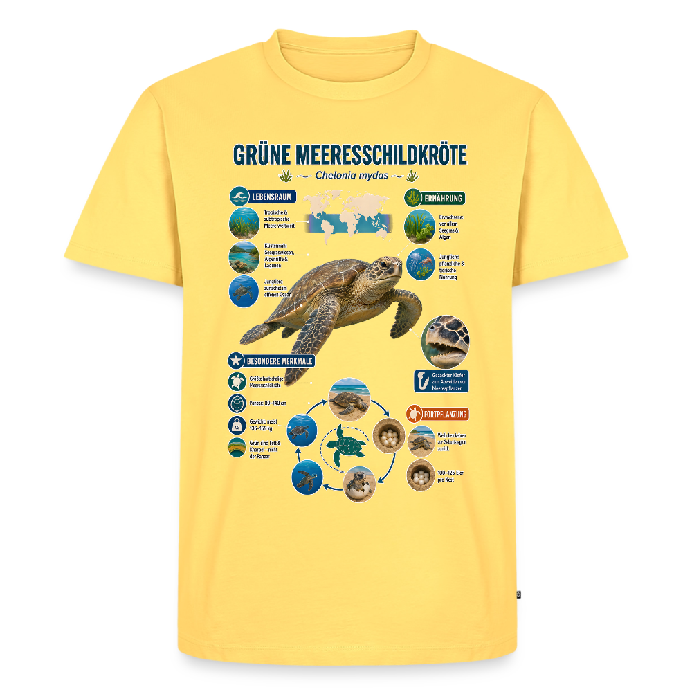 Grüne Meeresschildkröte Infografik – Faszinierende Fakten über den sanften Ozeanbewohner | Männer Premium T-Shirt - Pastellgelb