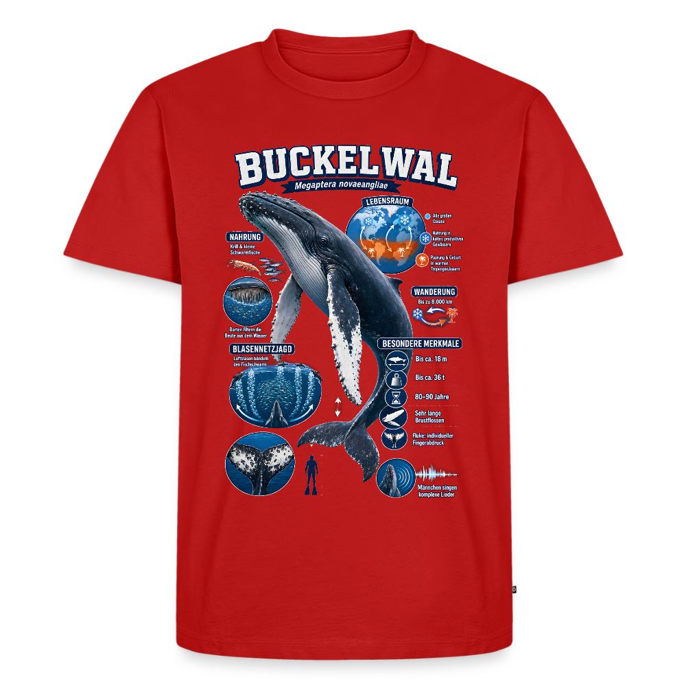 Buckelwal Infografik – Faszinierende Fakten über den Ozeanriesen | Männer Premium T-Shirt - Rot