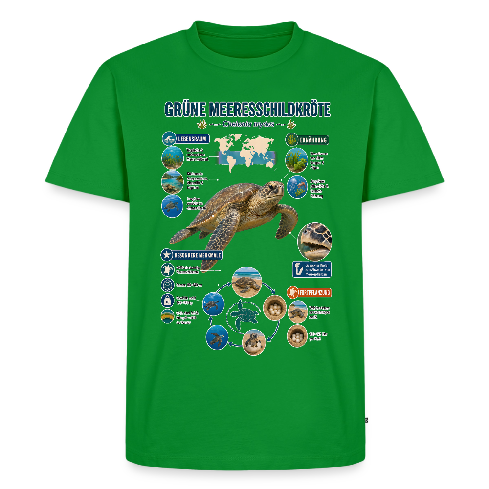 Grüne Meeresschildkröte Infografik – Faszinierende Fakten über den sanften Ozeanbewohner | Männer Premium T-Shirt - Grün