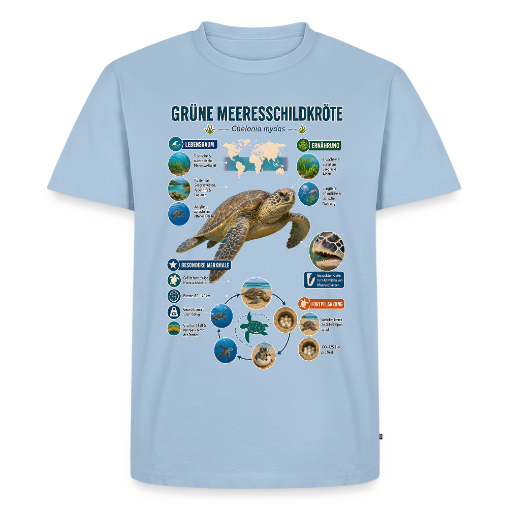 Grüne Meeresschildkröte Infografik – Faszinierende Fakten über den sanften Ozeanbewohner | Männer Premium T-Shirt - Hellblau