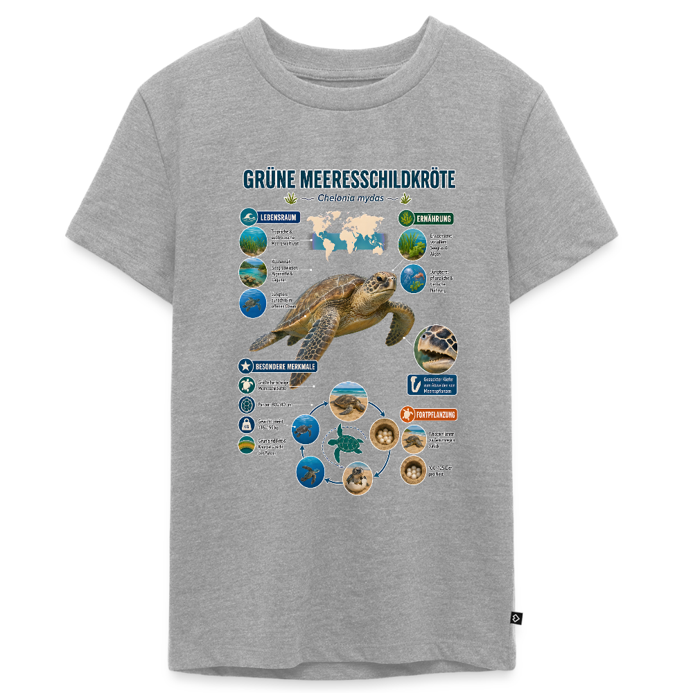 Grüne Meeresschildkröte Infografik – Faszinierende Fakten über den sanften Ozeanbewohner | Teenager Premium T-Shirt - Grau meliert