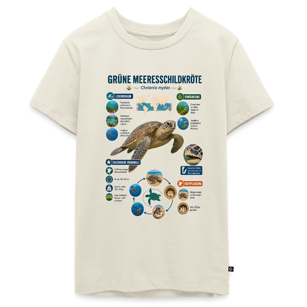 Grüne Meeresschildkröte Infografik – Faszinierende Fakten über den sanften Ozeanbewohner | Teenager Premium T-Shirt - Naturweiß