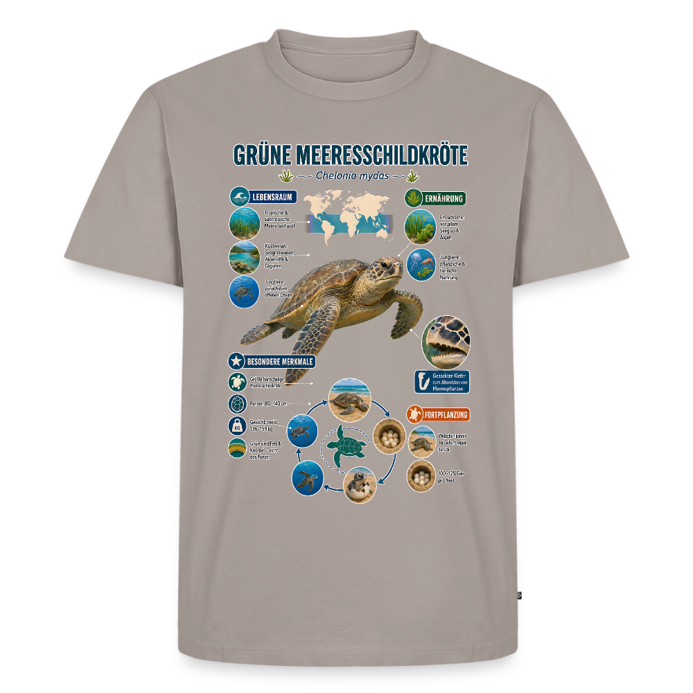 Grüne Meeresschildkröte Infografik – Faszinierende Fakten über den sanften Ozeanbewohner | Männer Premium T-Shirt - Taupe