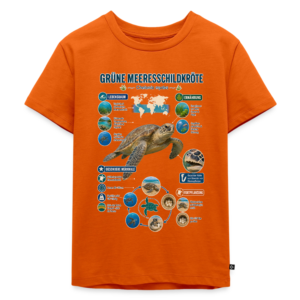 Grüne Meeresschildkröte Infografik – Faszinierende Fakten über den sanften Ozeanbewohner | Kinder Premium T-Shirt - Orange 