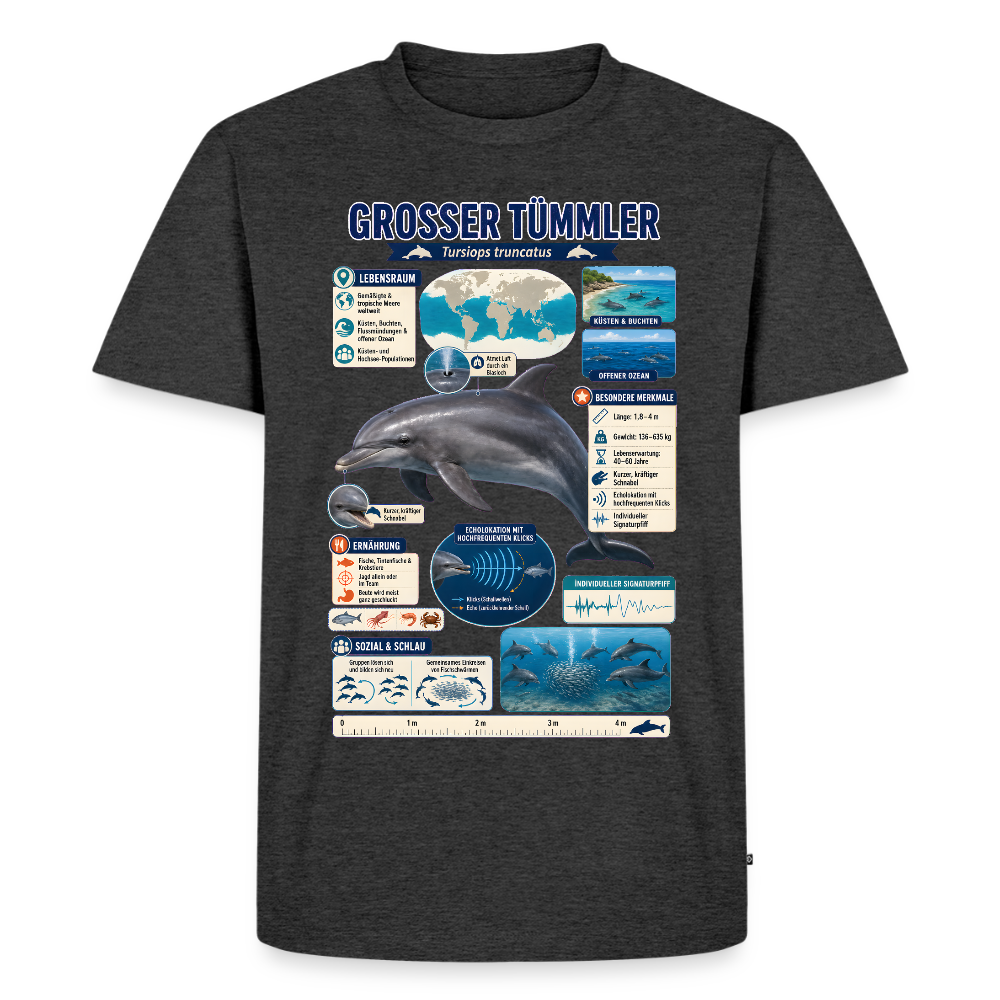 Großer Tümmler Infografik – Spannende Fakten über den intelligenten Delfin | Männer Premium T-Shirt - Anthrazit meliert