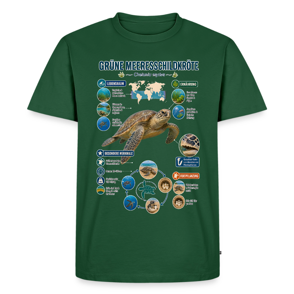 Grüne Meeresschildkröte Infografik – Faszinierende Fakten über den sanften Ozeanbewohner | Männer Premium T-Shirt - Flaschengrün