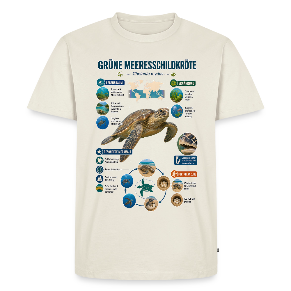 Grüne Meeresschildkröte Infografik – Faszinierende Fakten über den sanften Ozeanbewohner | Männer Premium T-Shirt - Naturweiß